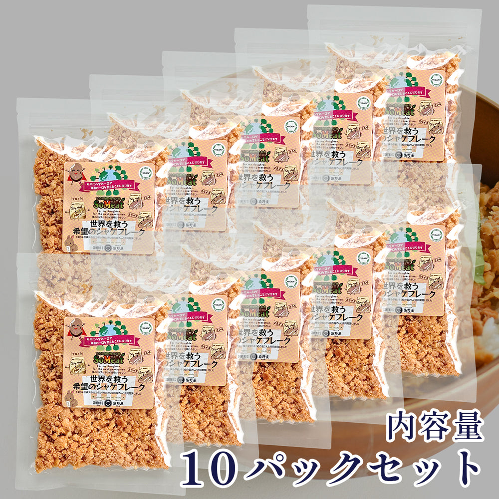 ソミート 世界を救う希望のシャケフレーク 100g×10パック